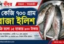 পাথরঘাটায় ২ কেজি ৭০০ গ্রাম ওজনের রাজা ইলিশ বিক্রি ১৫ হাজার ৯৩০ টাকায়